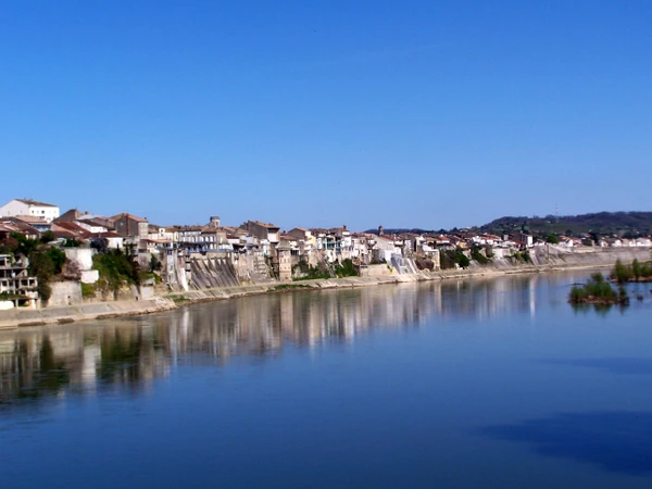Photographie urbaine professionnelle de Tonneins montrant un élément caractéristique de la ville comme une vue du port fluvial sur la Garonne avec bâtiments résidentiels ou commerciaux typiques de la région, ou une rue principale avec architecture locale de Lot-et-Garonne. Image claire sous bon éclairage naturel, sans personnes au premier plan, illustrant le cadre géographique et urbain spécifique de Tonneins pour les interventions de CNR.